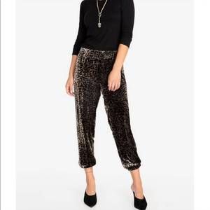 NEW JOHNNY WAS leopard velvet jogger in mti